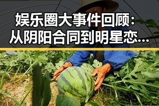 娱乐圈大事件回顾：从阴阳合同到明星恋情的时间线